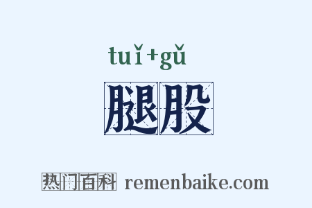 腿股是什么意思的图片